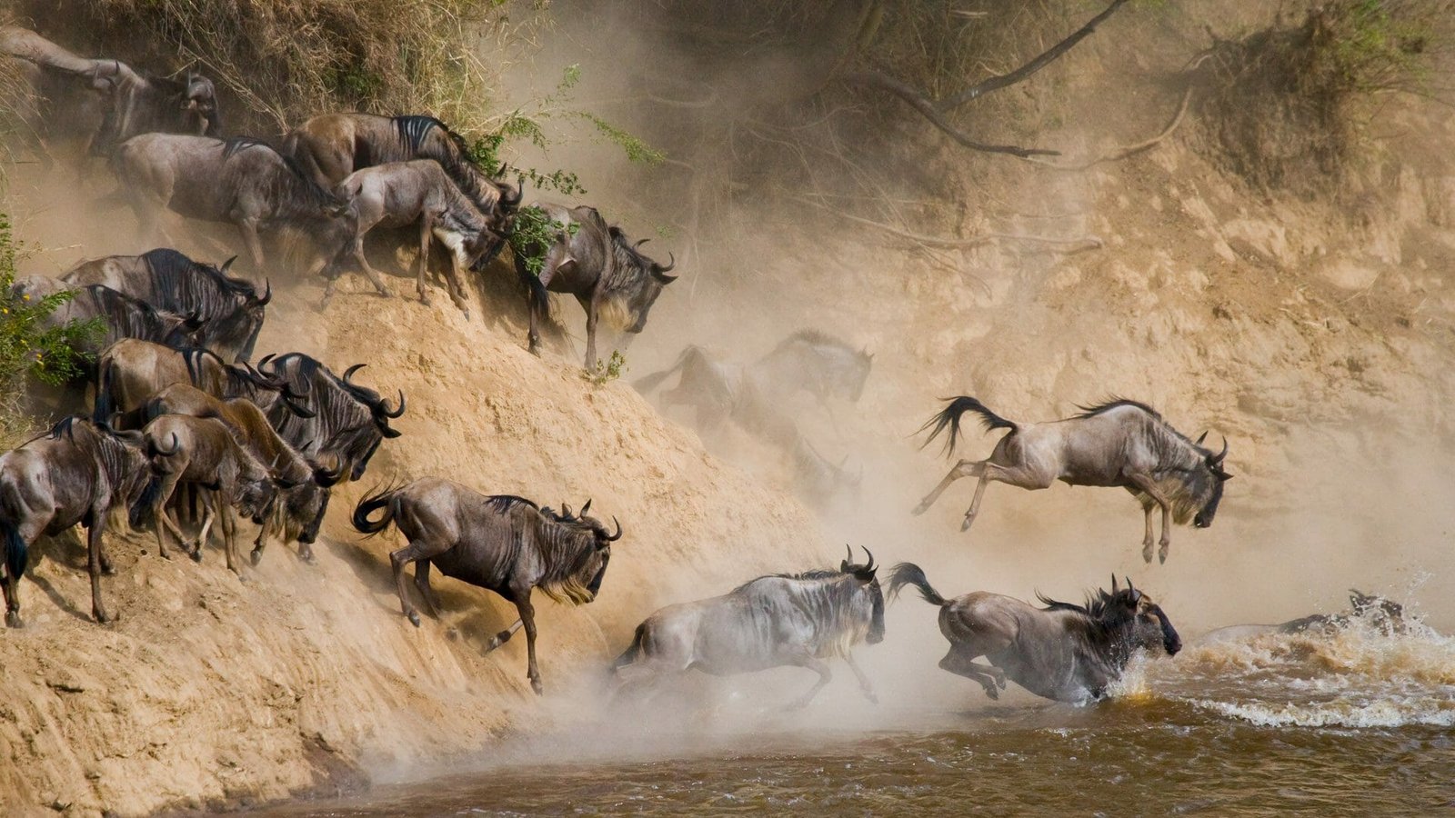 Serengeti National Park