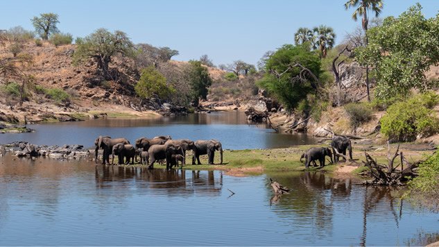 Ruaha National Park