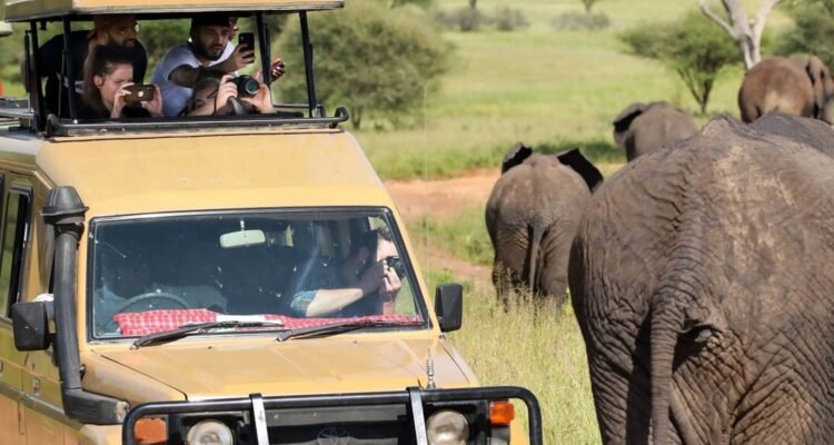 7-Day African Safari Tours