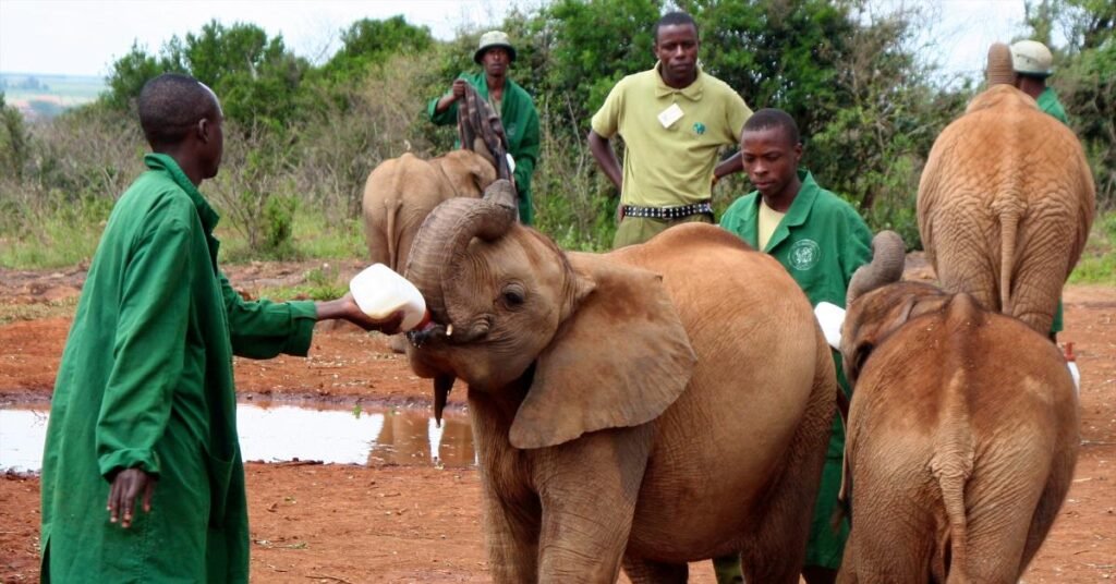 Cultural Encounters With People Ruaha National Park