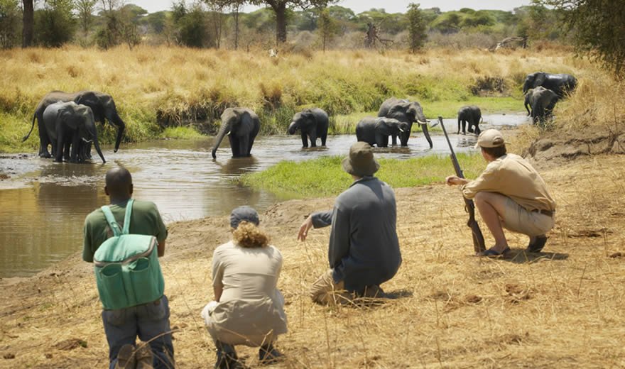 Walking Safaris Lake Manyara National Park