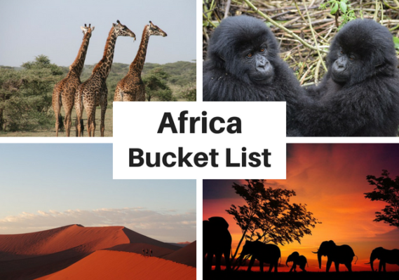 african safari bucket list