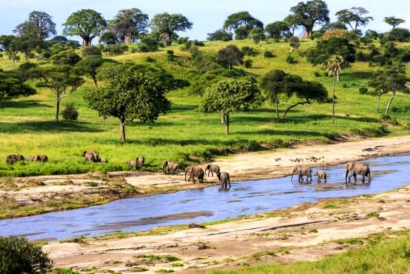 best places to visit in africa for first timers