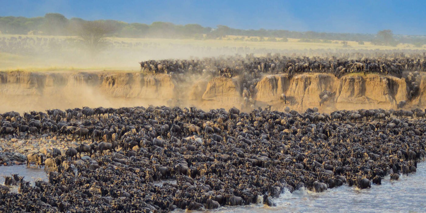 Great Migration in Serengeti