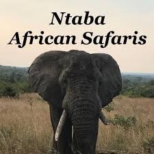 ntaba african safaris