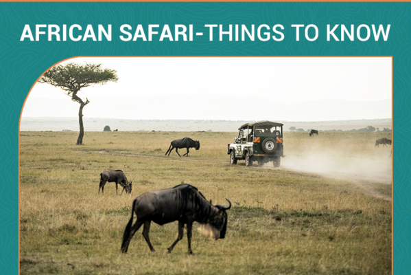 what to know before your first african safari